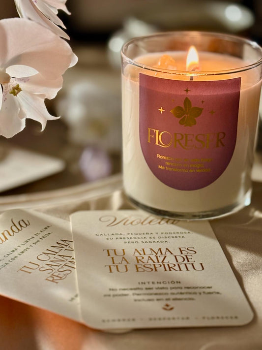 Vela FLORESER ✨🌷